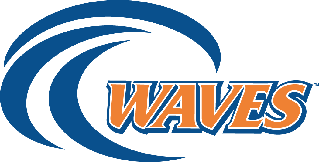 Pepperdine Waves 2004-Pres Alternate Logo v2 diy iron on heat transfer